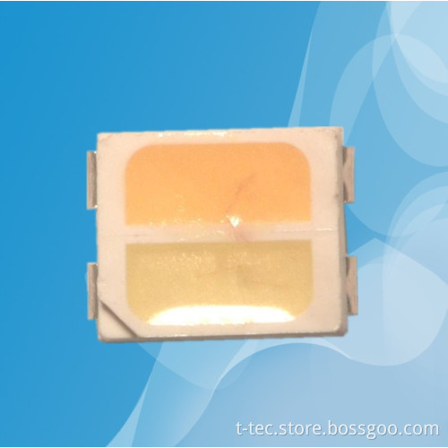 3528 double color temperature SMD LED